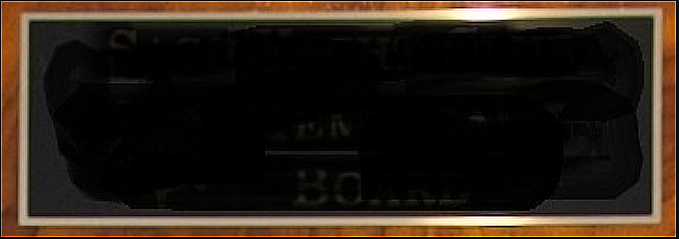 Descriptive Alt Text